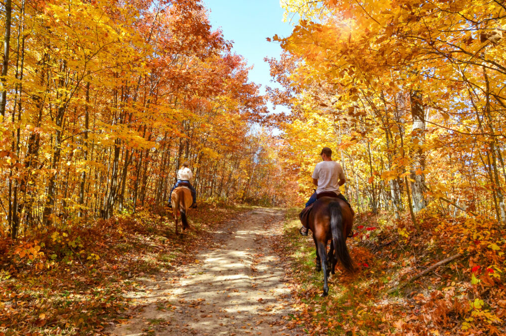 Middle-aged married couple enjoying a fall date horseback riding and looking at beautiful autumn landscapes