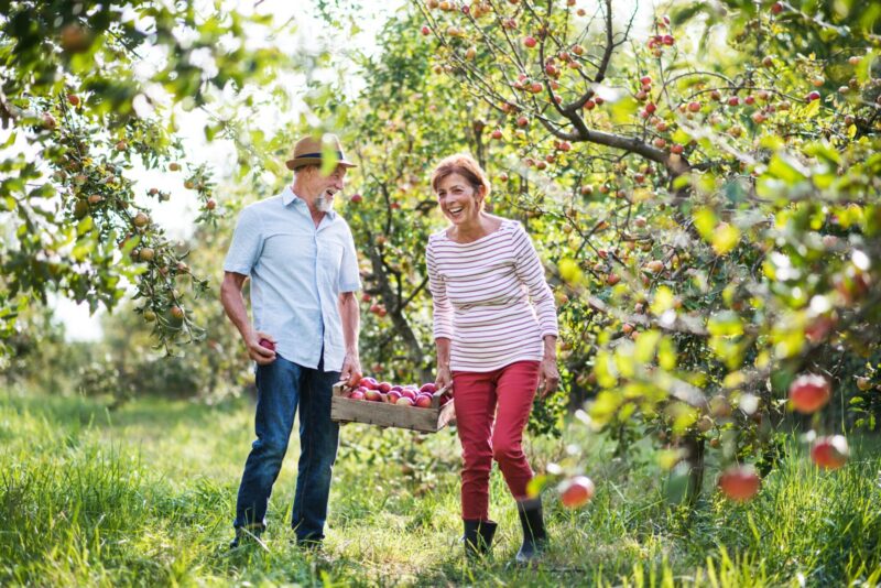 older married couple picking apples, one of our 80 date ideas for couples, fall date ideas