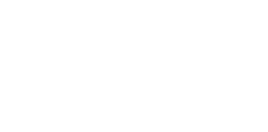 Spring Life Counseling logo